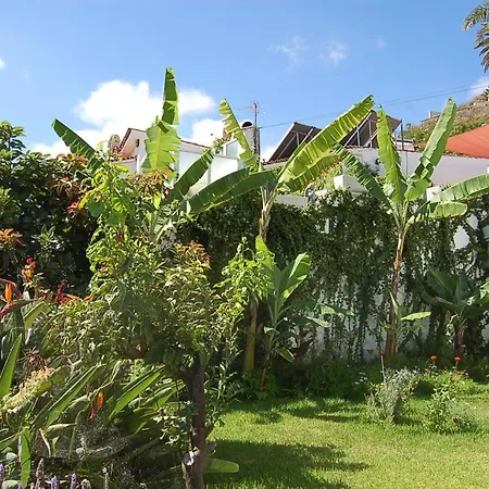 Oben #92187 Apartamento Los Realejos